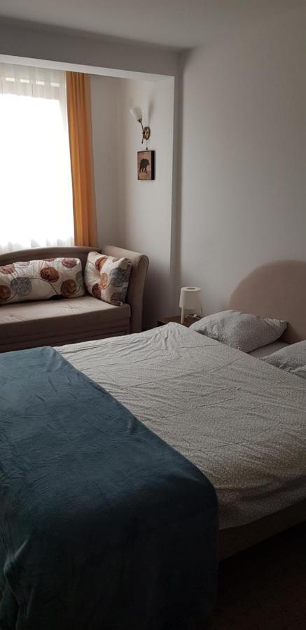 Dobricin Konak, Apartman 202 كوباونيك المظهر الخارجي الصورة