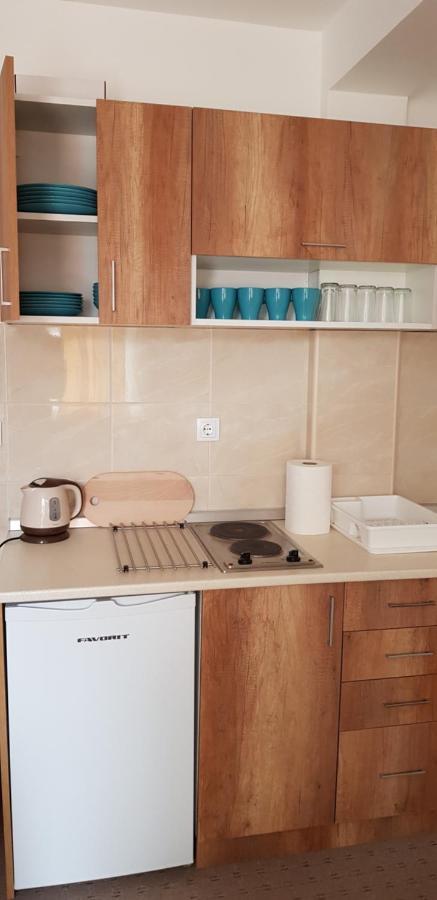 Dobricin Konak, Apartman 202 كوباونيك المظهر الخارجي الصورة