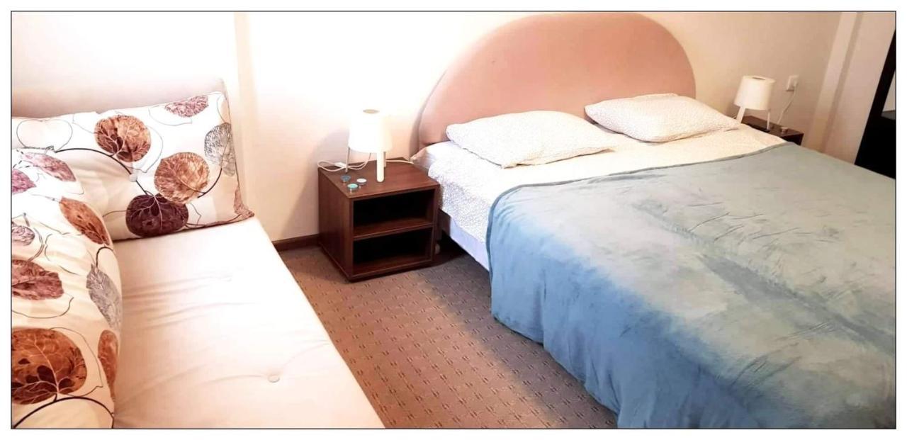 Dobricin Konak, Apartman 202 كوباونيك المظهر الخارجي الصورة