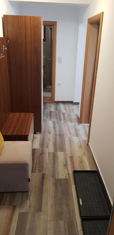 Dobricin Konak, Apartman 202 كوباونيك المظهر الخارجي الصورة